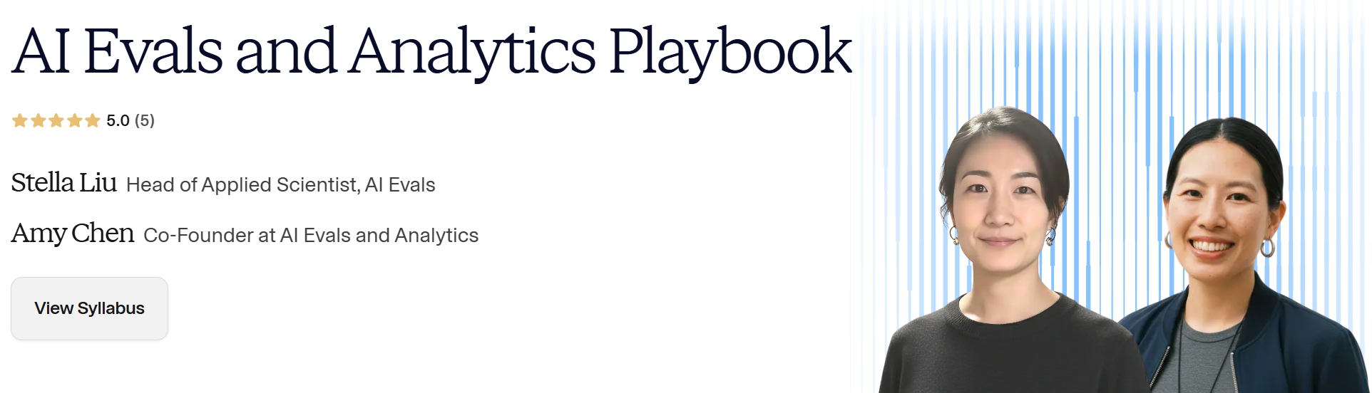 AI Evals and Analytics Playbook